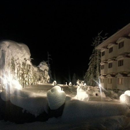 Royal Jardin Whistling Pines Resort Шимла Екстериор снимка